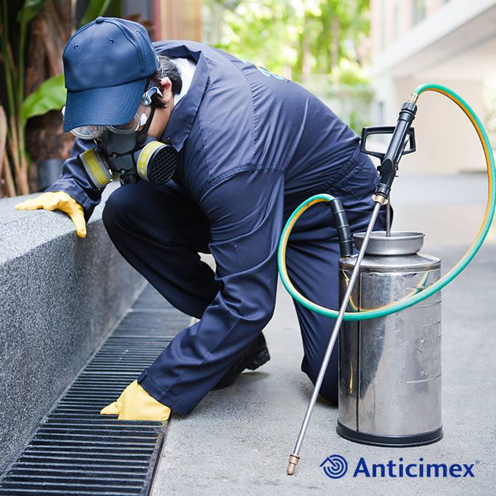 Anticimex Pest Management Sdn Bhd-16039385425.jpg